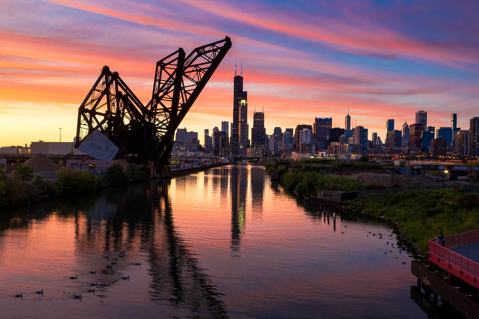 View of Downtown Chicago from Ping Tom Park