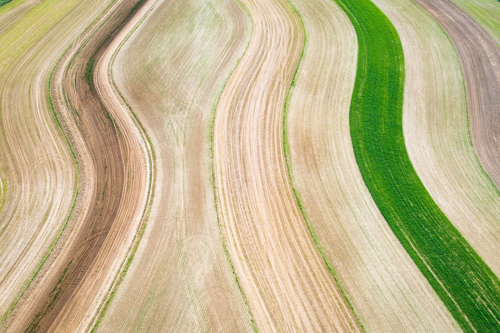 Contoured field in Southern Wisconsin