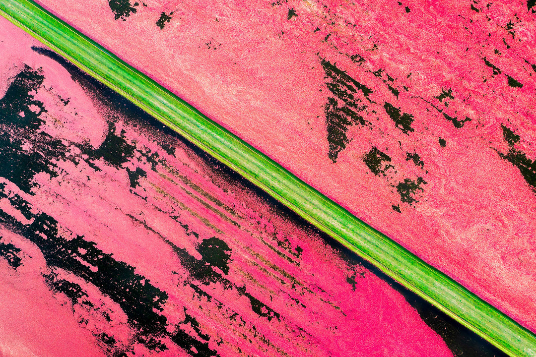 The Art of Cranberries in Warrens, Wisconsin