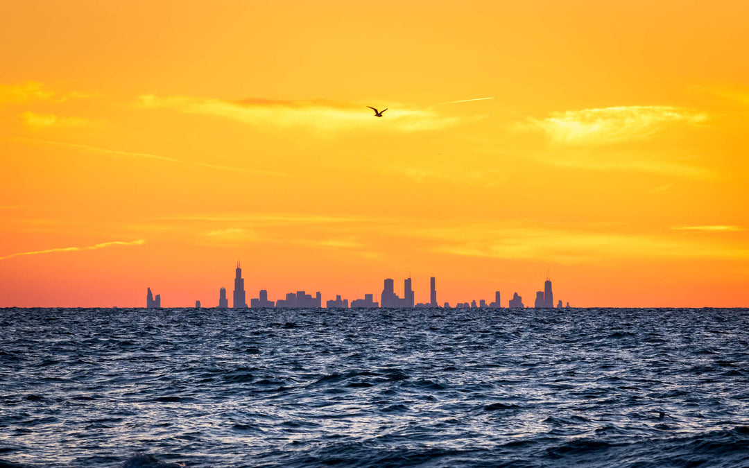 A view of the Chicago skyline from Indiana Dunes State Park