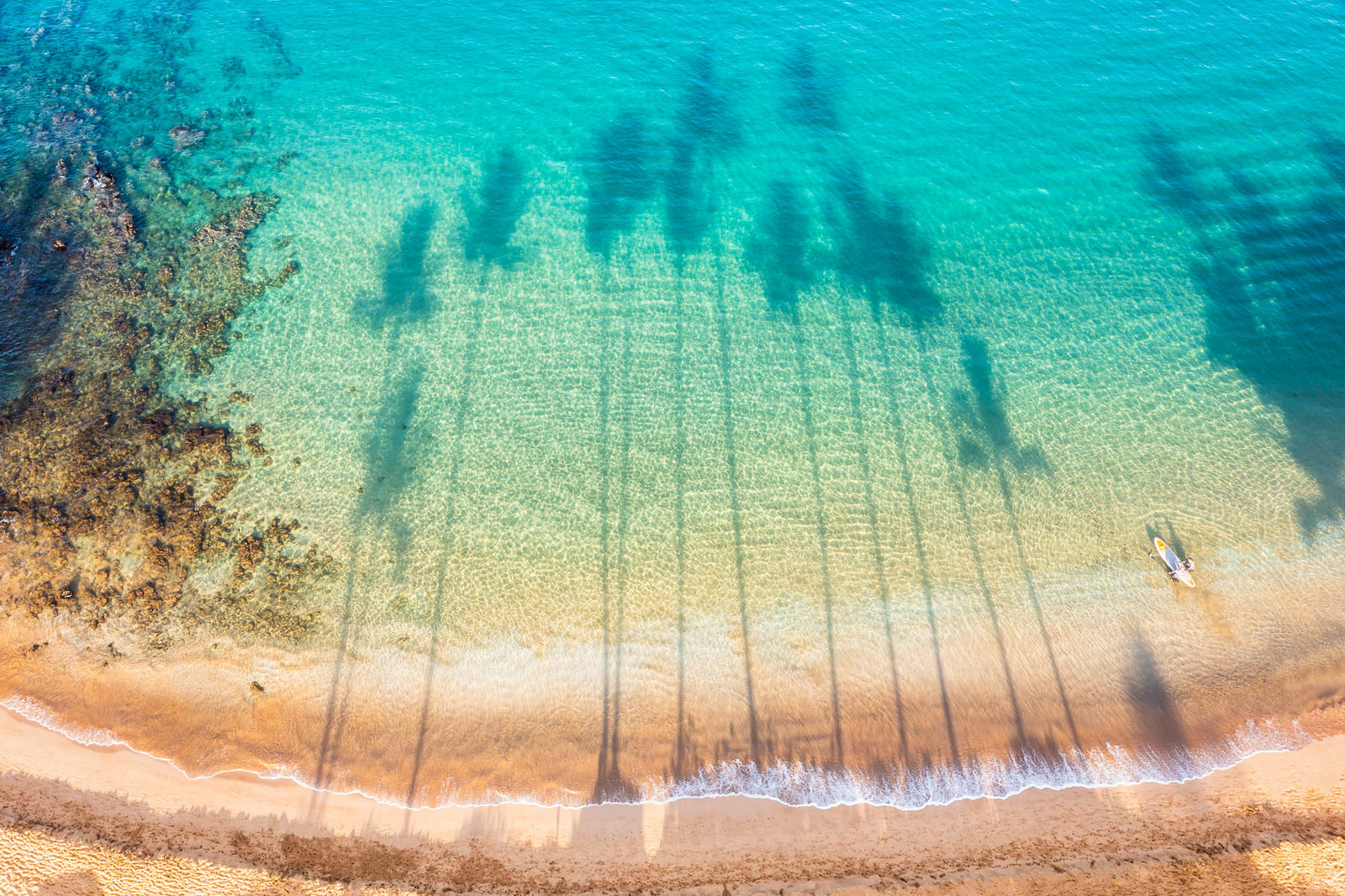 Shadows of palm trees near Kihei, Maui