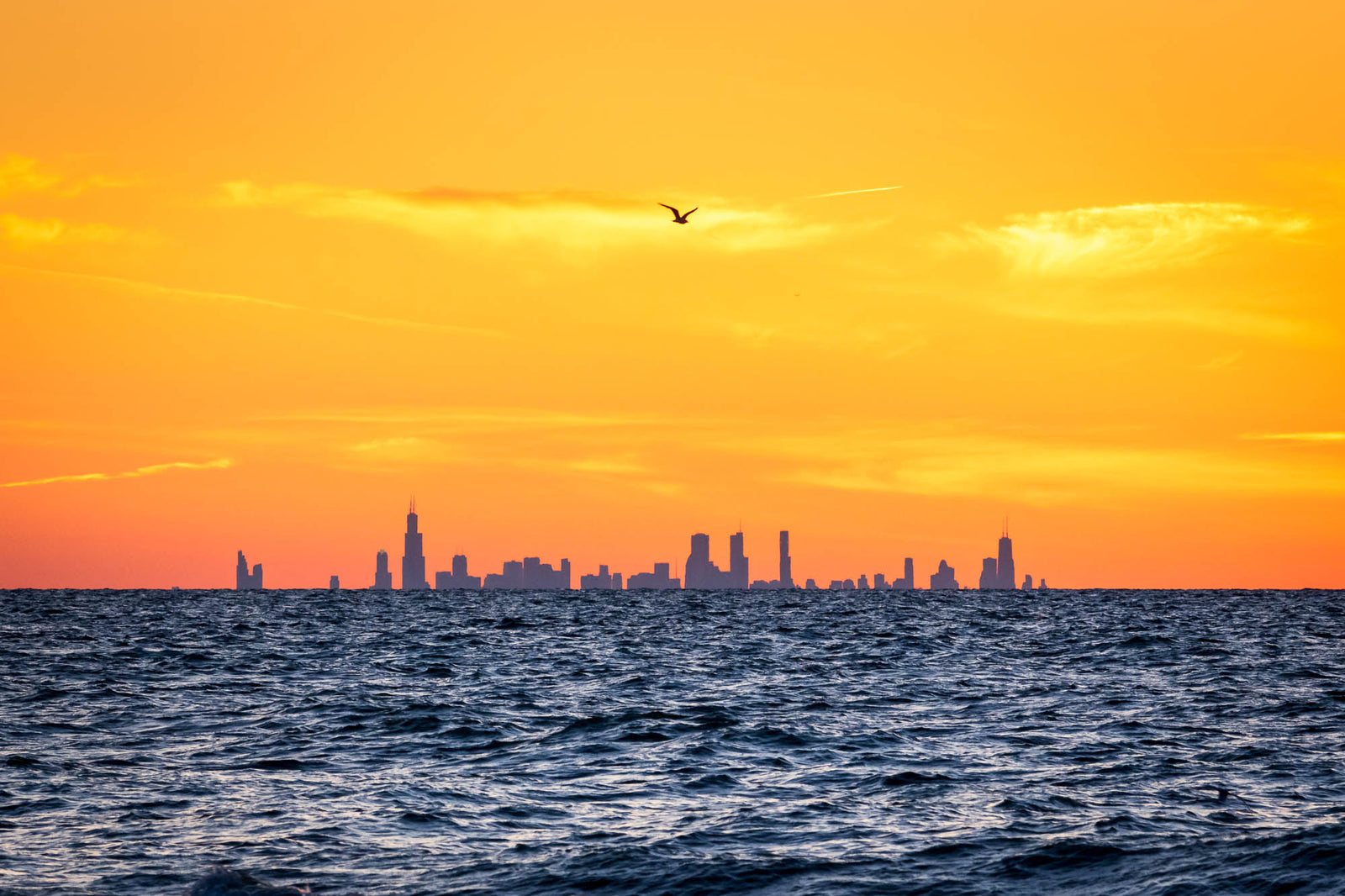 View of downtown Chicago from Indiana Dunes State Park