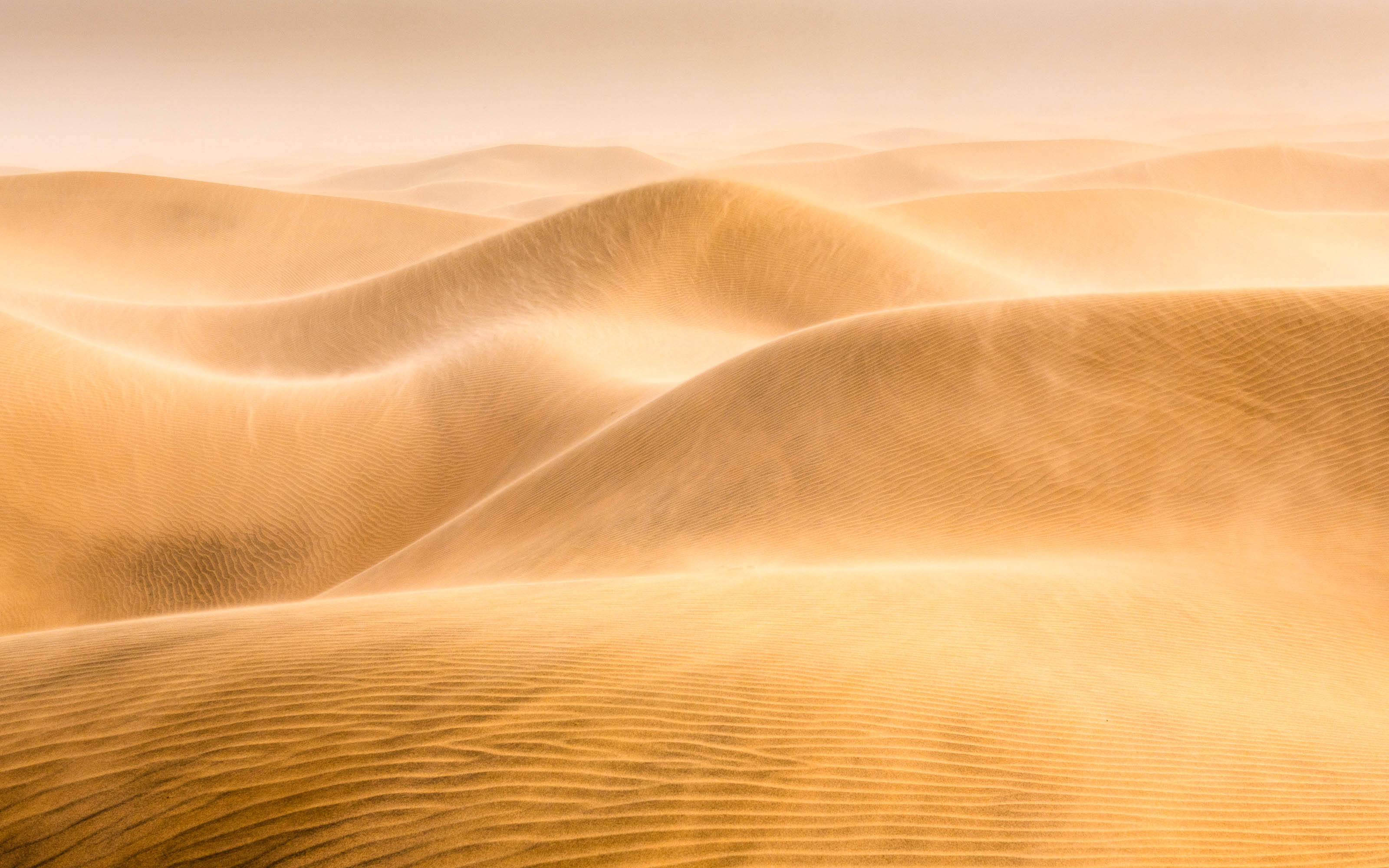 Golden Glow – Brandon Eicher Photography