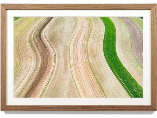 Framed photograph of a field in Southern Wisconsin