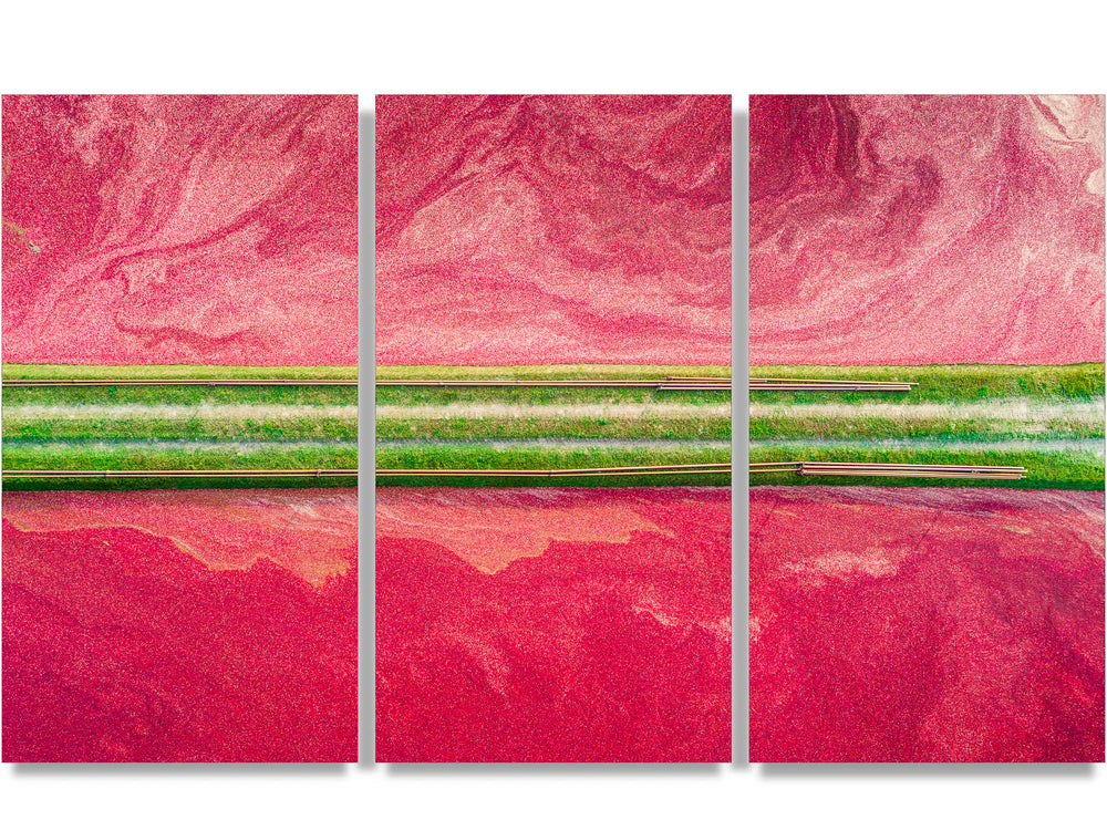 A triptych of cranberry bogs in Wisconsin