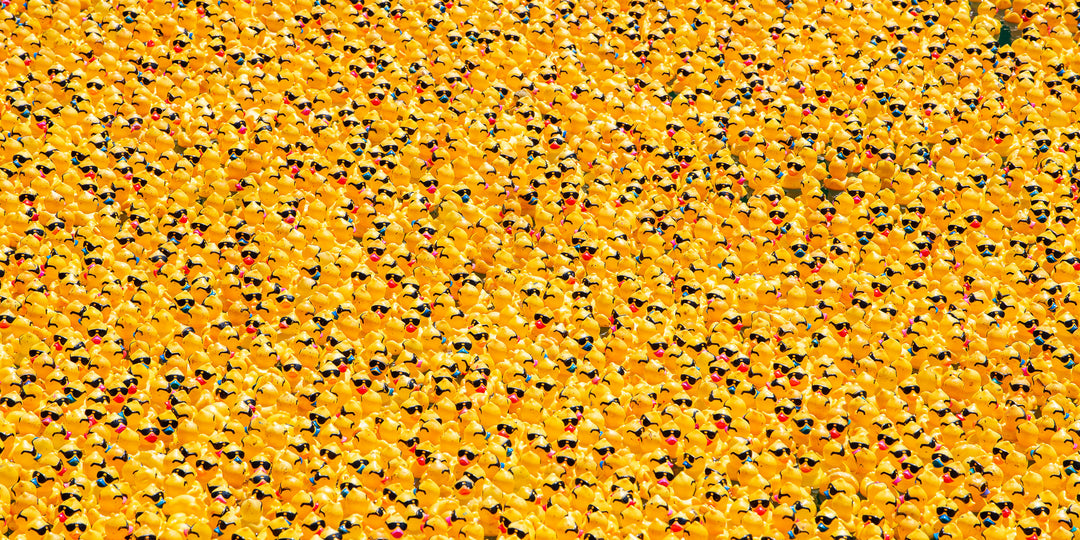 Rubber ducks in the Chicago River