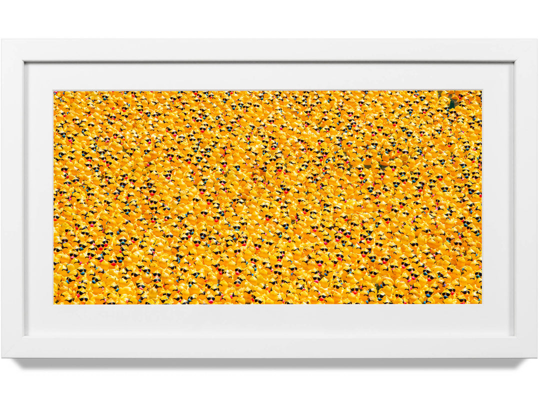 Framed print of rubber ducks