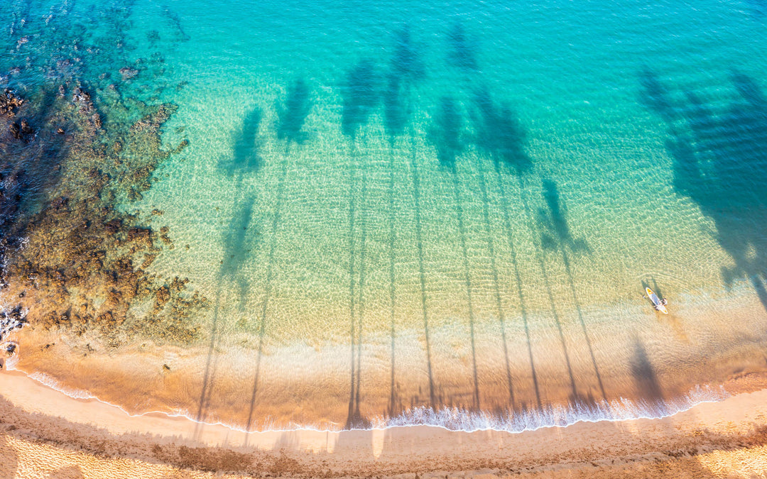 Shadows of palm trees near Kihei, Maui