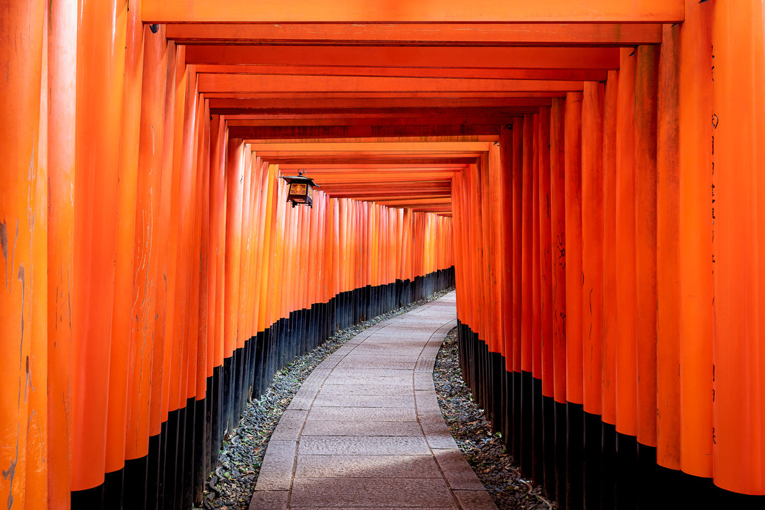 Torii gates of the Fushimi Inari shrine
